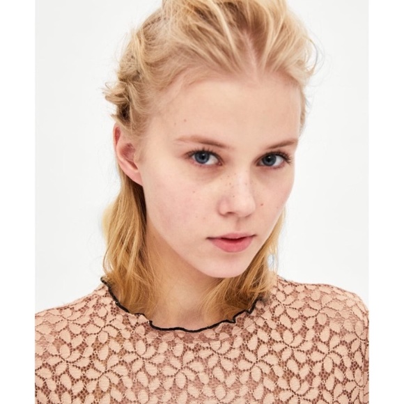 Zara lace Tshirt size S - Picture 8 of 8